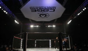 Conor McGregor's Stout Steps into the BKFC Arena